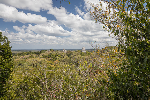 Myan Ruins of Tikal, Guatemala