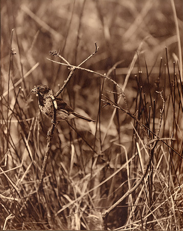 img046-Edit