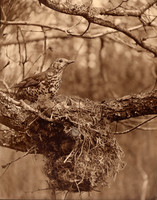 img004-Edit