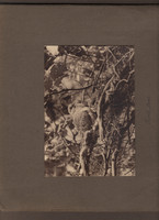 img005