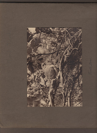 img005