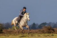 New Forest Point to point 2025