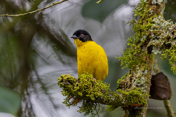 IMG_3056-Edit