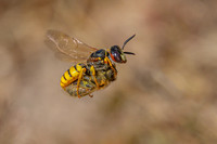 IMG_1147