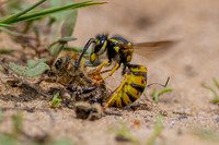 IMG_7298-Edit