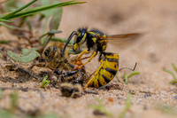 IMG_7298-Edit-gigapixel-high fidelity v2-2x