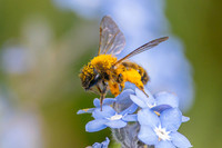 IMG_2541-gigapixel-high fidelity v3-2x