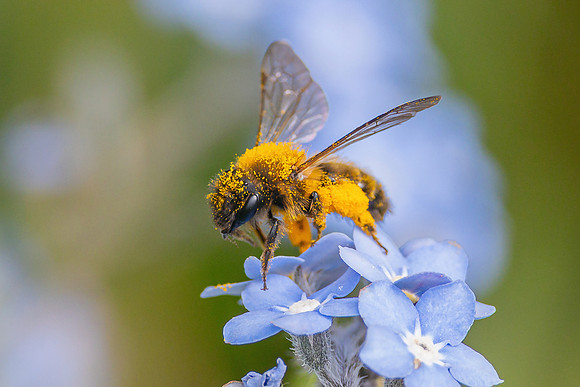 IMG_2541-gigapixel-high fidelity v3-2x