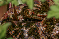 IMG_6013-2-Edit