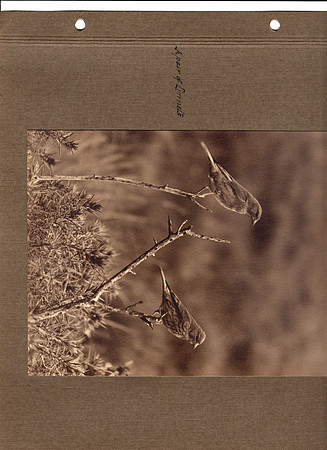 img033