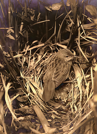img045-Edit