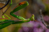 _K2A2704-Edit