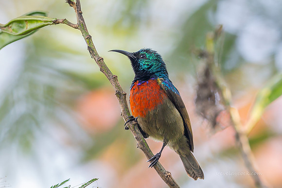 IMG_2457-Edit