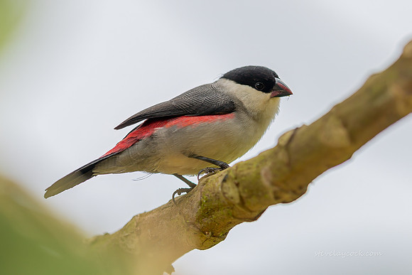 IMG_4091-Edit