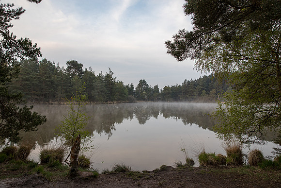 sunrise at Thursley Common
