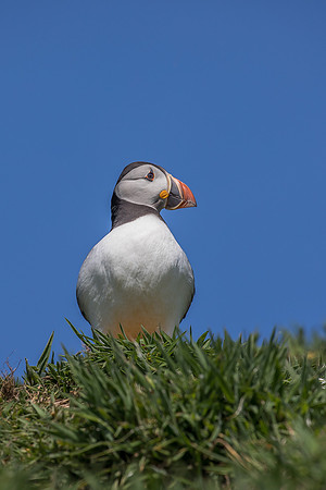 SL5D8159
