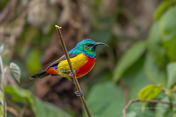 IMG_3593-Edit