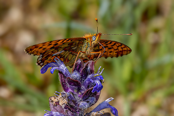 R3__2530-Edit