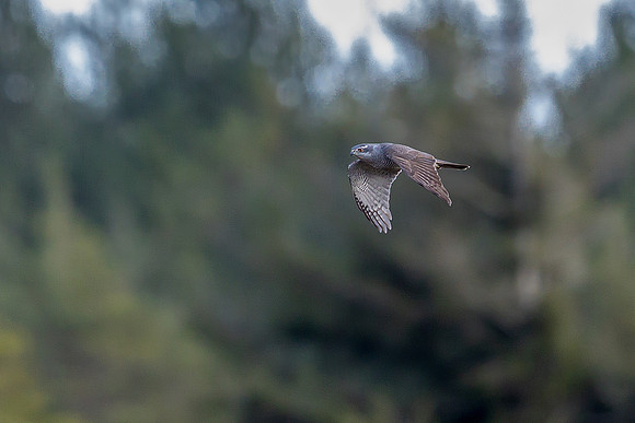 R3__7776-Edit