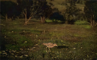 img011-Edit-Edit