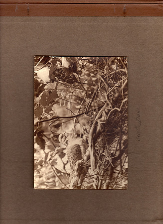 img001
