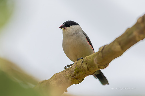 IMG_4038-Edit