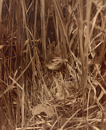 img035-Edit