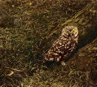 img002-Edit
