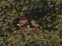 img021-Edit