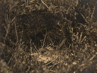 img017-Edit