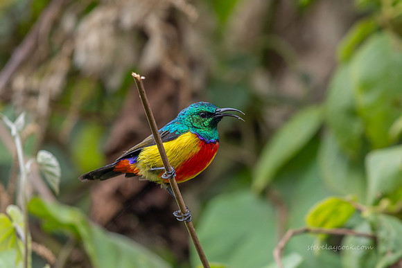 IMG_3600-Edit