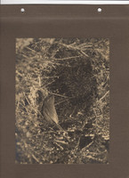 img015