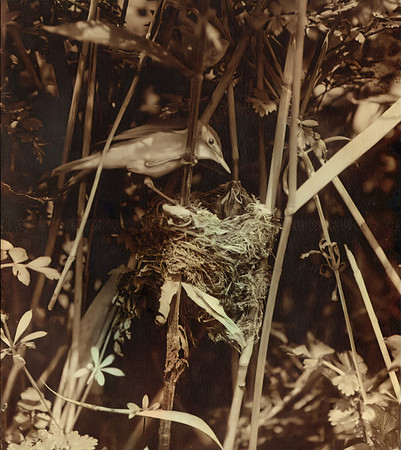 img050-Edit