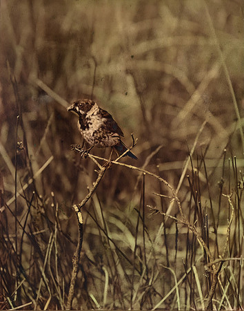 img048-Edit