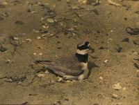 img025-Edit