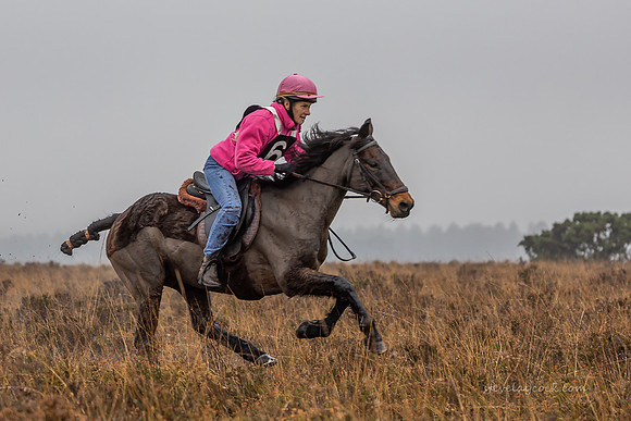 IMG_0489-Edit