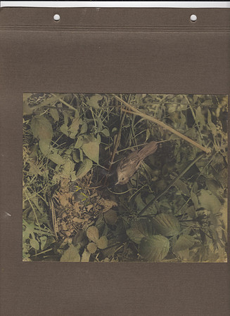 img023