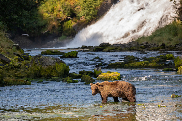 SL5D5269