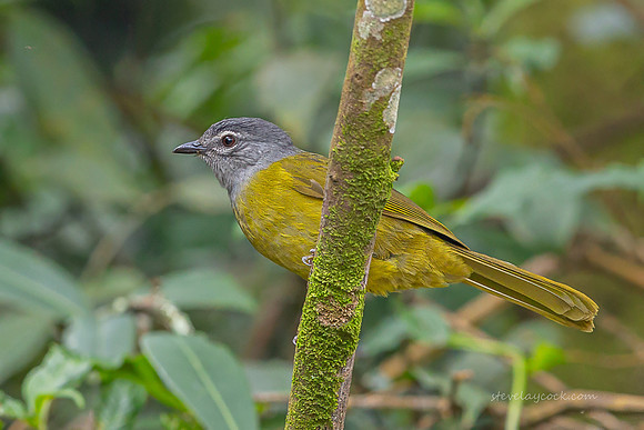 IMG_3848-Edit