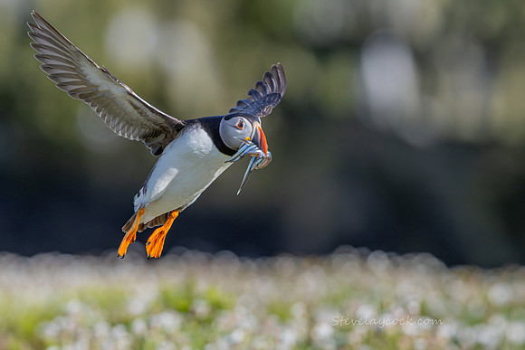 R3__0760-Edit