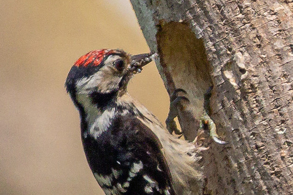 20250531-Matley NF-071