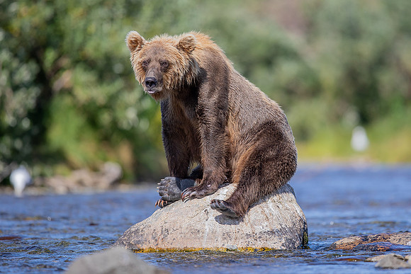 SL5D2835